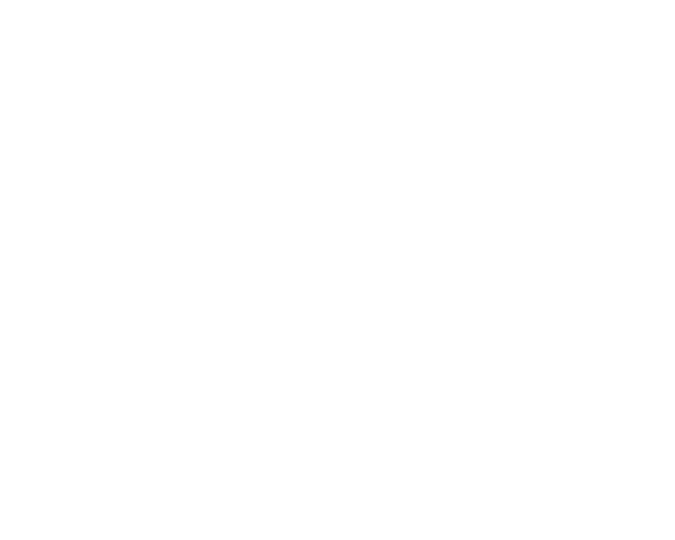 Wolf and Co